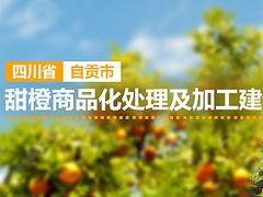 中國名優(yōu)產品廣告宣傳資訊 生產、價格與制作全解析