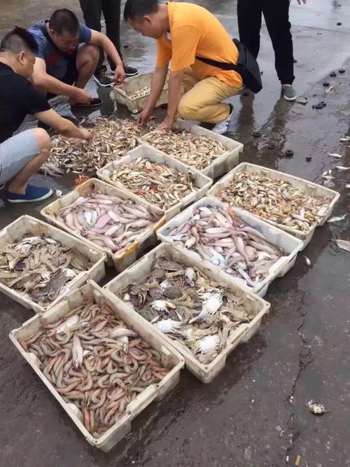 衢山島海鮮采購全攻略 鮮活海產品去哪兒買最地道