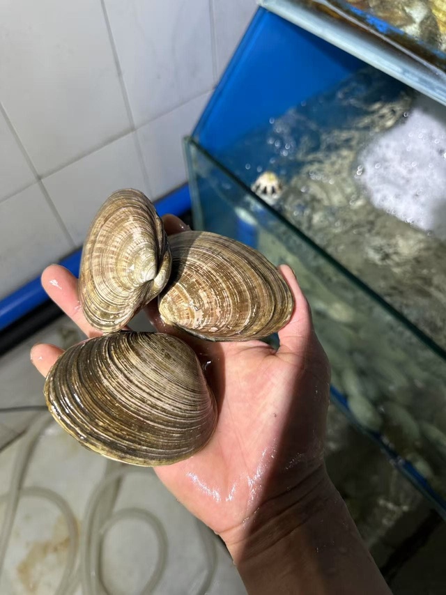 鮮活海產品·筑城新體驗——探訪貴陽盛陵海產品經營之道