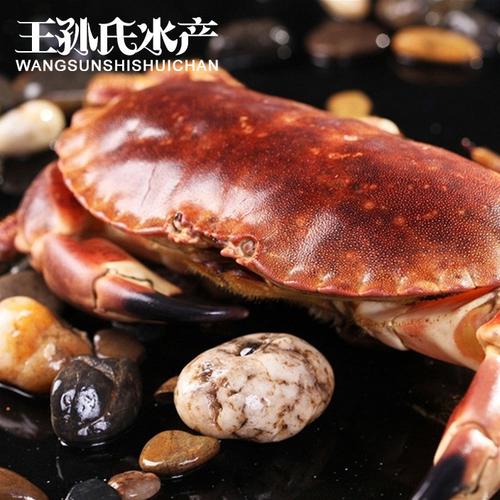 鮮活面包蟹 從英國深海到酒店餐桌的高端海味之選