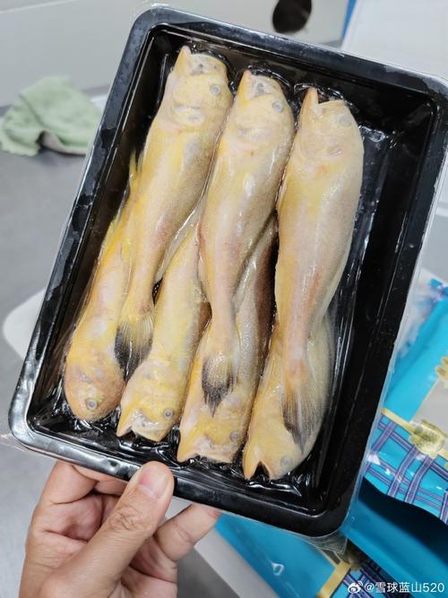 這是我的海鮮供應商,今天親自到工廠來看一下