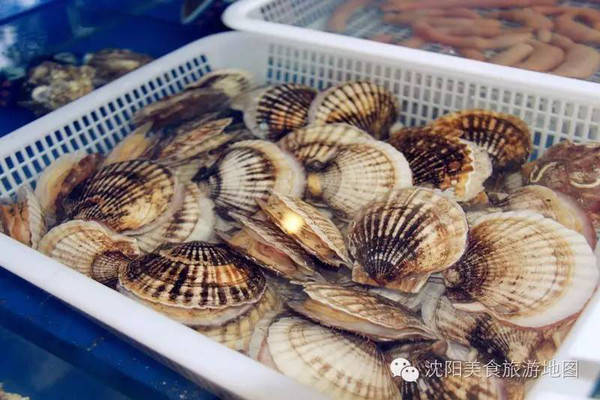 發現&middot;特色|那一首西海情歌
