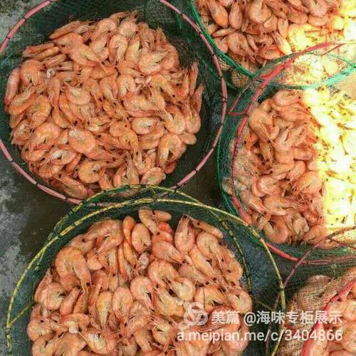 漁家自產自銷鮮活海產品