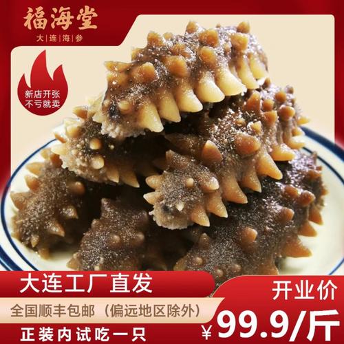 淡干海參干廣告{大連工廠}淡